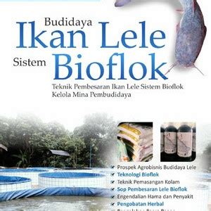 Jual Budidaya Ikan Lele Sistem Bioflok Buku Original Kab Sleman