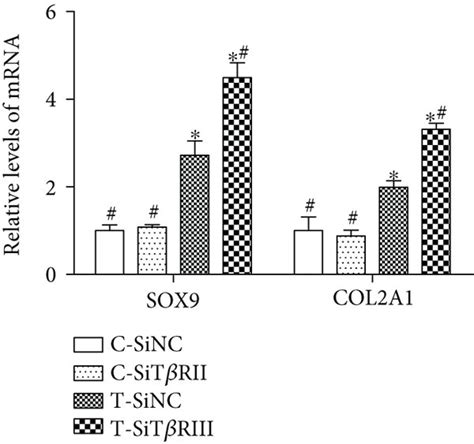 T Riii Rnai Enhanced Tgf Induced Chondrogenic Differentiation Of