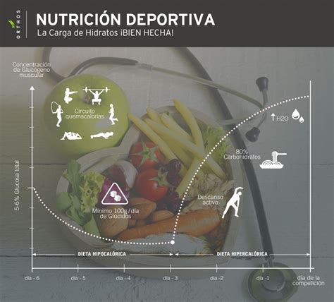 La Carga De Hidratos Bien Hecha Orthos