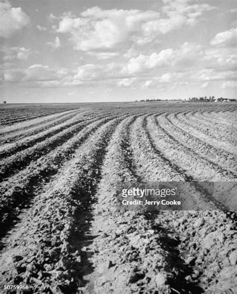 102 Terracing Farming Stock Photos, High-Res Pictures, and Images ...