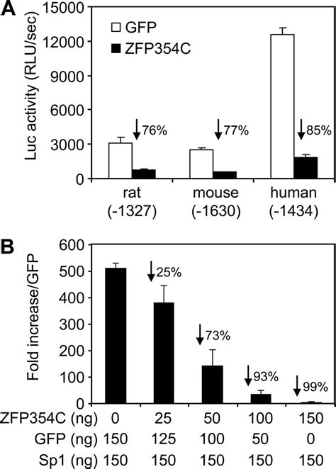 Zfp C Represses Basal And Sp Induced Transcriptional Activity Of The