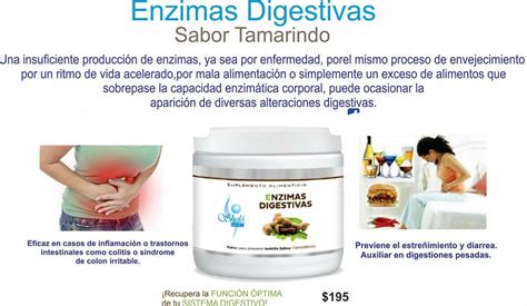 Enzimas Digestivas Enzimas El Sistema Digestivo