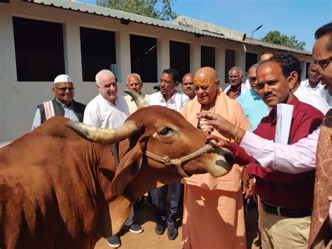 Cow Hug Day वैलेंटाइन को ‘no मनाएं काउ हग डे गौ प्रेम से दूर हो