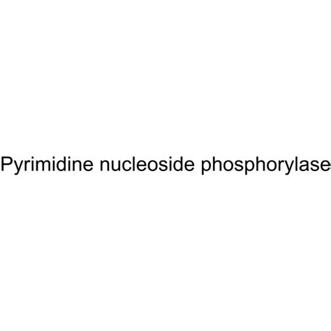 Pyrimidine nucleoside phosphorylase | CAS 9055-35-0 | AbMole BioScience | Pyrimidine nucleoside ...