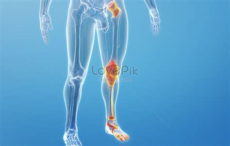 Human bone and joint diseases creative image_picture free download ...