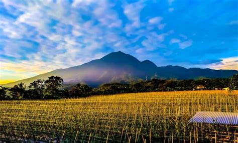 Gunung Salak Bogor – newstempo