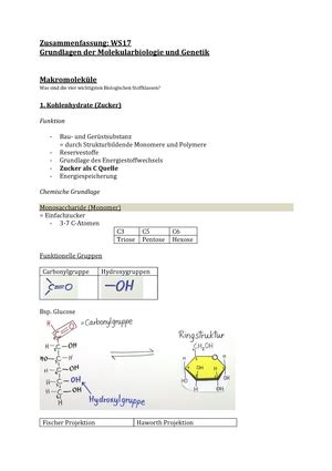 Zusammenfassung Molekularbiologie Zusammenfassung Molekularbiologie