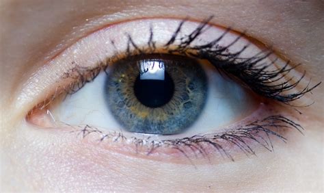 Eye Twitching How To Get Rid Of It Top Natural Remedies