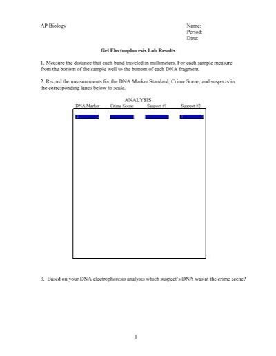 Ap Biology Name Period Date Gel Electrophoresis Lab Results