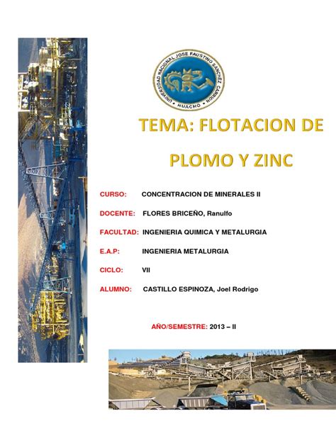 PDF Flotacion De Plomo Y Zinc DOKUMEN TIPS