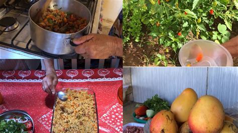 Dia De Fartura Colhemos Verduras E Pimentas Fiz Arroz Recheado