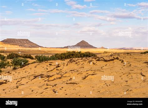 Bahariya Oasis, Egypt Stock Photo - Alamy