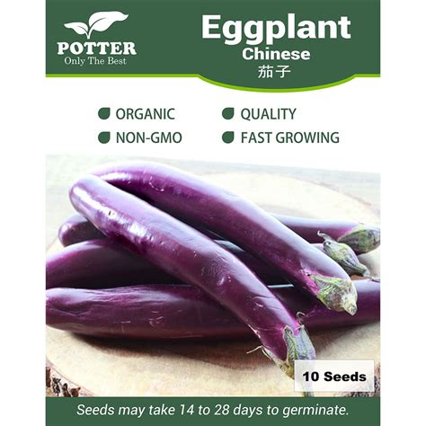 Eggplant Chinese seeds - Sierra Flora