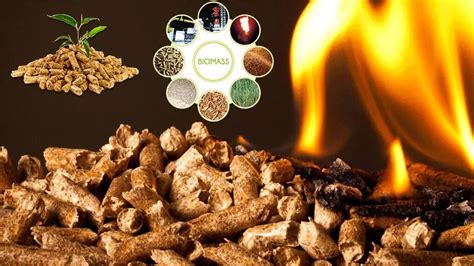 Wood Pellets Production: A Sustainable Energy Solution - IssueWire