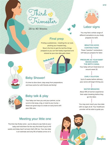 Third Trimester of Pregnancy