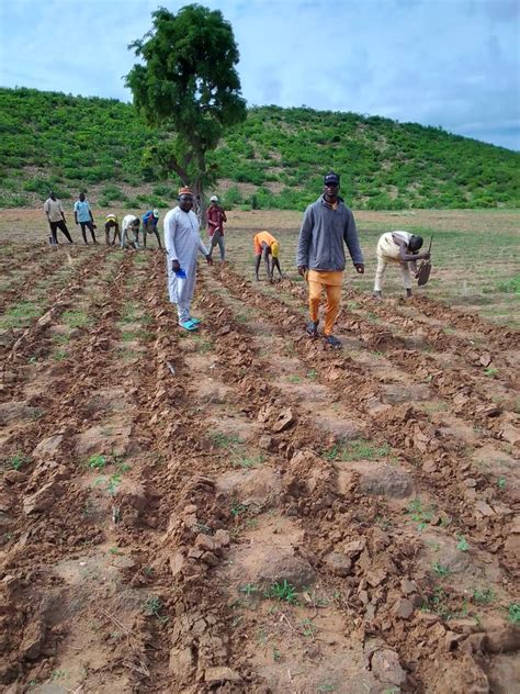 Sasakawa Nigeria On Twitter Regenerativeagriculture Ongoing Pre