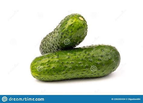 Pepino Vegetal Isolado Em Fundo Branco Foto De Stock Imagem De