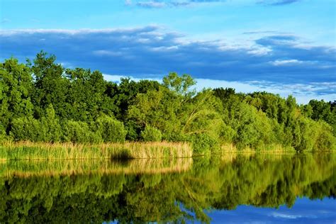 Lac L Eau Des Arbres Photo Gratuite Sur Pixabay Pixabay