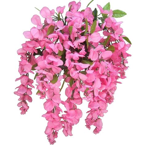 15 Stems Wisteria Long Hanging Bush Flowers Pink Admired By Nature