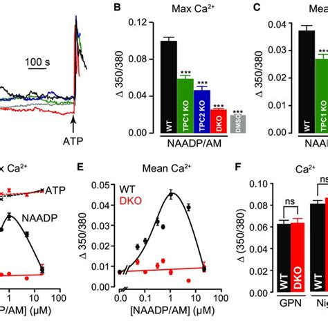 TPC Knockout Abrogates NAADP Induced Ca 2 Signals A C Representative