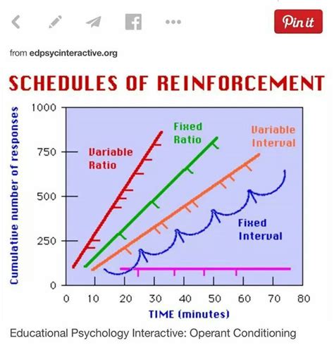 Schedules Of Reinforcement Quiz