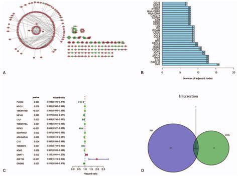 Protein Protein Interaction Network And Univariate Cox Regression Download Scientific Diagram