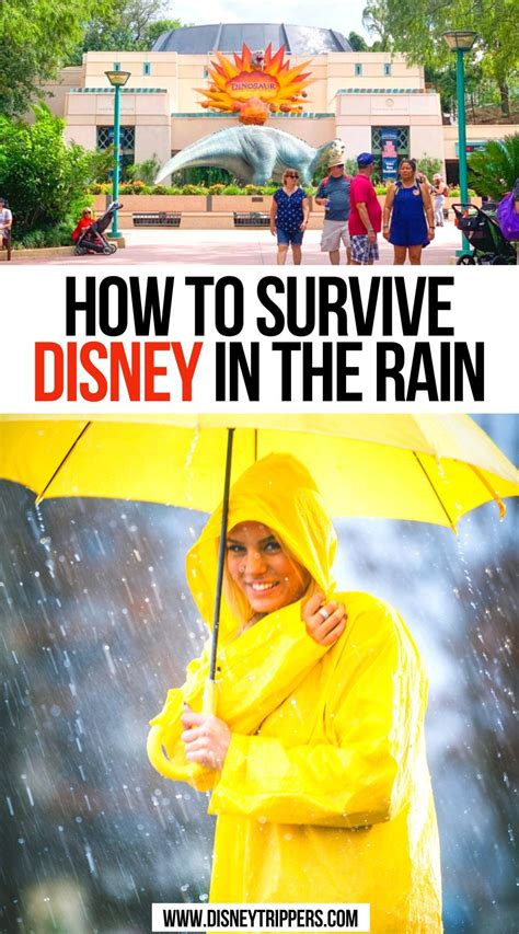 Surviving Disney In The Rain