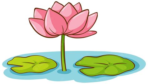 Detail Free Lotus Flower Vector Koleksi Nomer 9