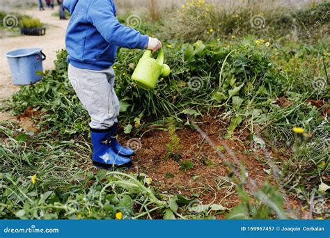 Ni Os Plantando Rboles En El Bosque Y Cultivando Plantas Que Cooperan