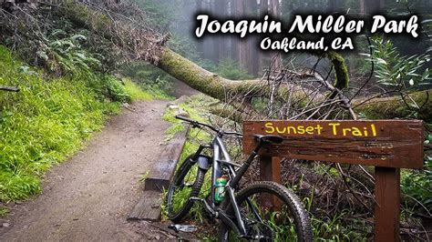 All of the Best DH (mtb) Trails at Joaquin Miller Park! - YouTube