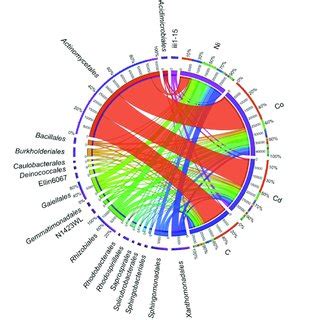 The Relative Abundance Of The Dominant Bacterial Orders In Soil Where