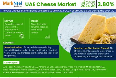 UAE Cheese Market Statistics Demand Revenue Revenue Share Business