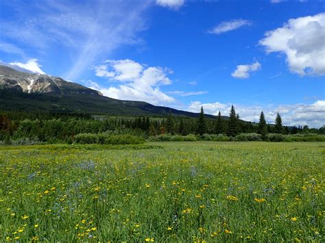 Glacier National Park - Into Canada - Lifetimetrails