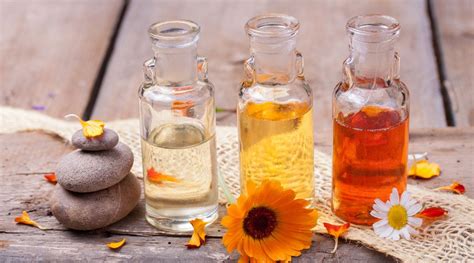 Holistic Approach Profiles Of Essential Oils Herbal Oil List Of