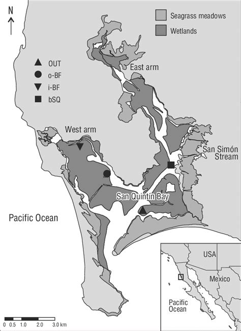 Map of San Quintín Bay showing the east arm and the west arm, and the 4 ...