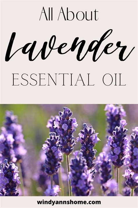 List Of 60 Essential Oils Their Benefits And Uses Pdf Printable Guide