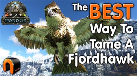 ARK Fjordur Fjordhawk How To Tame Feed And Breed