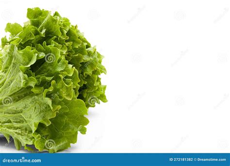 Green Lettuce With Beautiful Juicy Leaves On White Background Stock