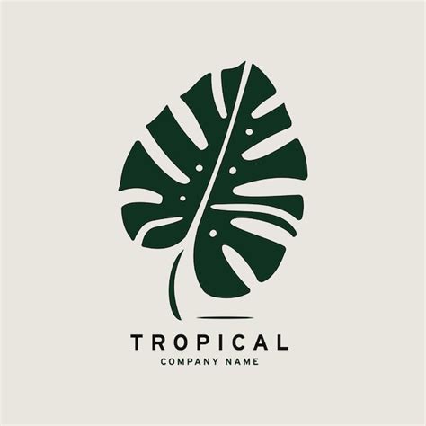 Modelo de vetor de design de logotipo de folha tropical ícone de folha