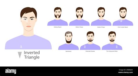 Set of Beard style for Inverted Triangle face shape and mustache men illustration Facial hair ...