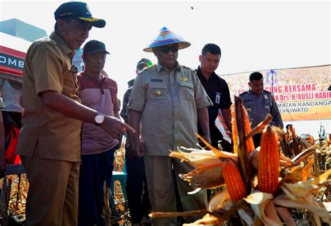 Infopublik Produksi Dua Juta Ton Jagung