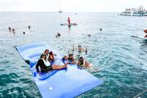 Da Honolulu Escursione Con I Delfini E Snorkeling A Oahu GetYourGuide