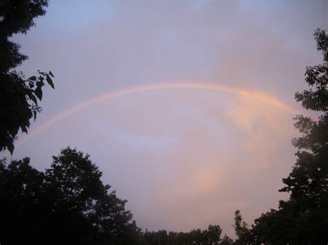 rainbow selena gomez wallpaper  fanpop