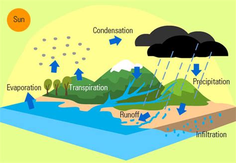 Unit 7 Weather And The Water Cycle Mr Palms Sciencesocial Studies Site