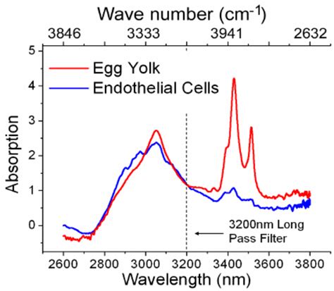 Mid Ir Sc Laser Based Reflection Absorption Spectra Of A Egg Yolk B Download Scientific