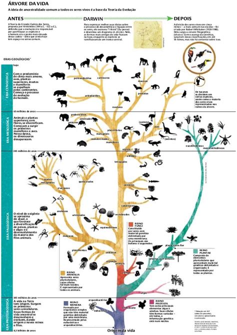 ÁRVORE DA VIDA A ideia de ancestralidade comum a todos os seres vivos é