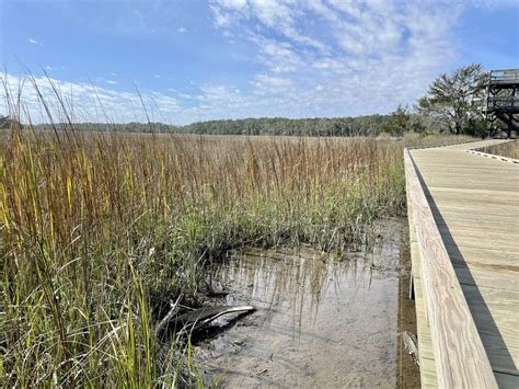 Skidaway Island State Park | Explore Trails, See Wildlife & Kayaking ...