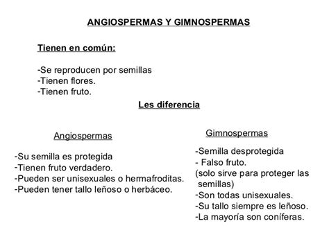 Blog De Nica Diferencias Entre Angiospermas Y Gimnospermas