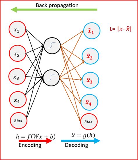 Deep Learning — Different Types Of Autoencoders By Renu Khandelwal Data Driven Investor Medium