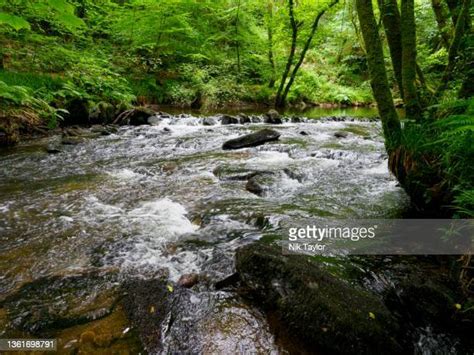 River Lynher Photos And Premium High Res Pictures Getty Images